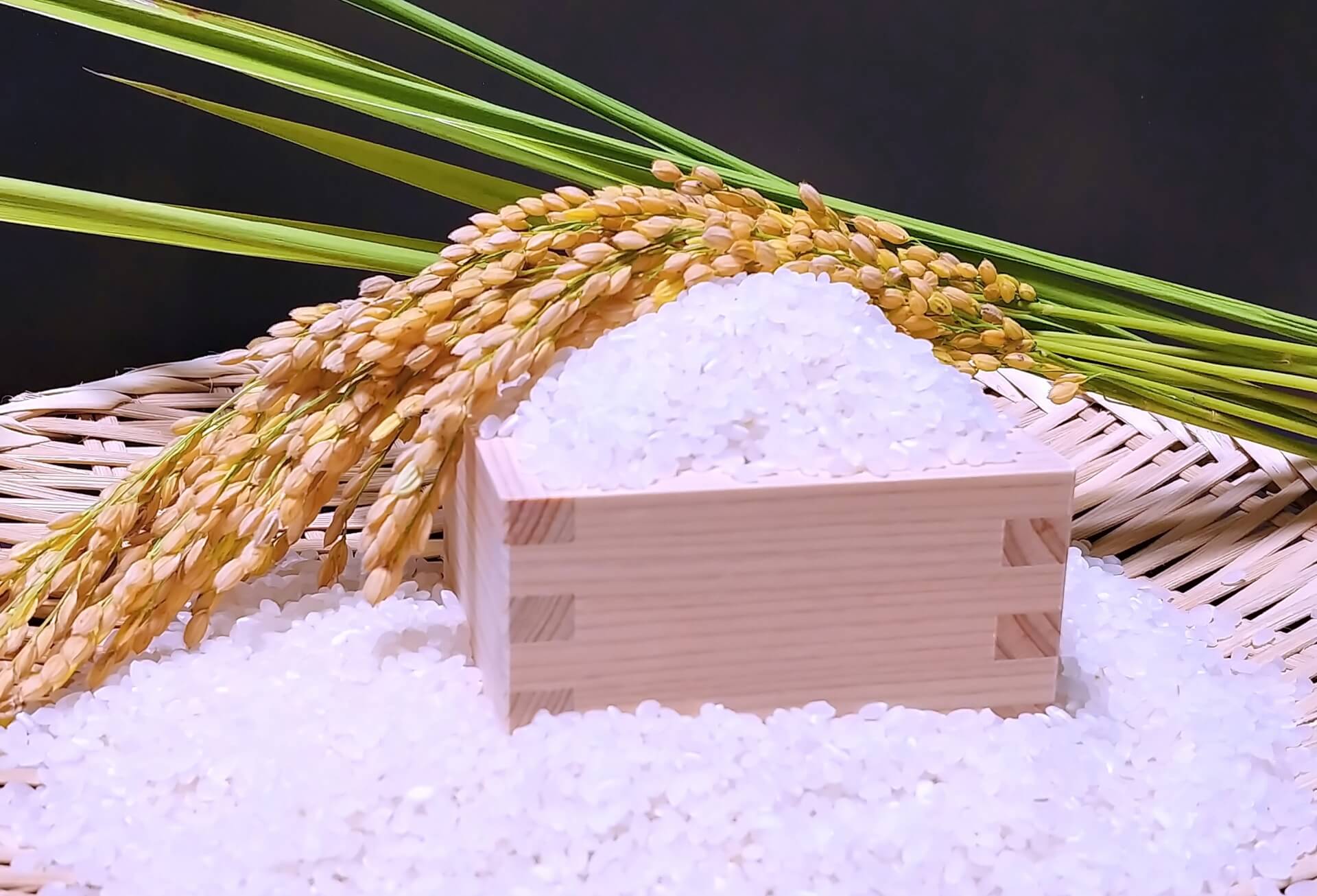 サービスイメージ 3